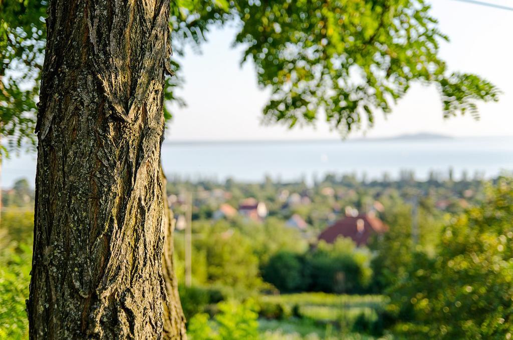 Hillside Apartments Révfülöp Екстериор снимка